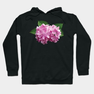 Hydrangeas - Pale Pink Hydrangea Hoodie